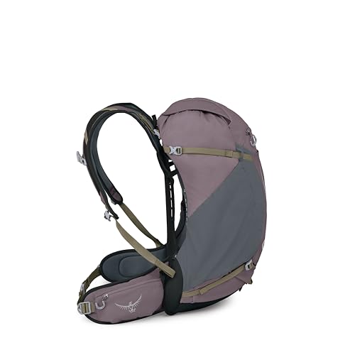 Osprey Hikelite 32L Durable Hiking Backpack - Travel Daypack with Rain Cover for Men and Women, Graphite Purple - color: Graphite Purple, style: 32l