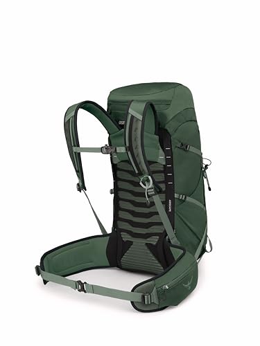 Osprey Talon 33L Men's Lightweight Hiking Backpack - Daypack for Travel & Camping, Green Canopy/Pine Leaf, Extended Fit - color: Green Canopy/Pine Leaf, size: 33L - Extended Fit