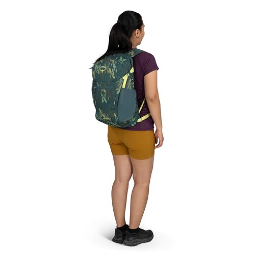Osprey Daylite Plus Commuter Backpack - Everyday Pack with Laptop Sleeve, Bottle Pockets, and Extra Storage, Fuzzy Window Print/Torrent Blue - color: Fuzzy Window Print-torrent Blue