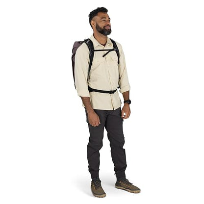 Osprey Hikelite LT 30L Hiking Backpack - Lightweight Travel Daypack with Rain Cover for Men and Women, Graphite Purple - color: Graphite Purple, style: 30l
