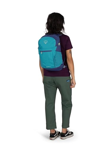 Osprey Daylite Plus Commuter Backpack - Lightweight, Everyday Pack with Laptop Sleeve and Water Bottle Pockets - Ideal for Work, School, and Travel with Versatile Storage, Blue Spikemoss/Alkaline - color: Blue Spikemoss/Alkaline