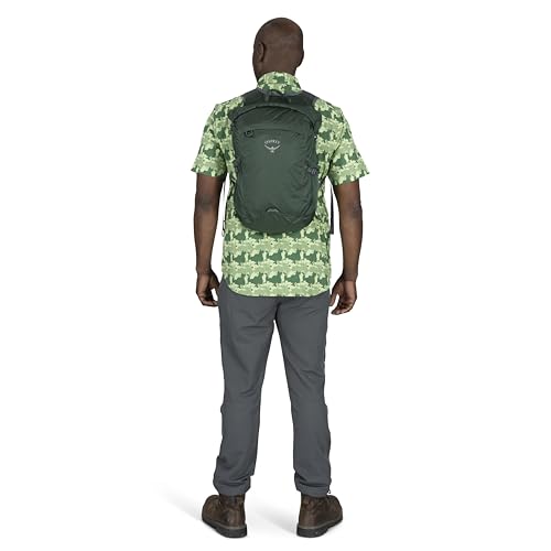 Osprey Ultralight 20L Dry Stuff Pack, Tundra Green - color: Tundra Green