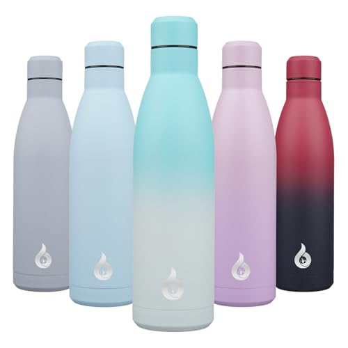 BJPKPK 25 oz Insulated Stainless Steel Water Bottle, Metal Sports Flask - color: Sea Salt, size: 25 Ounces