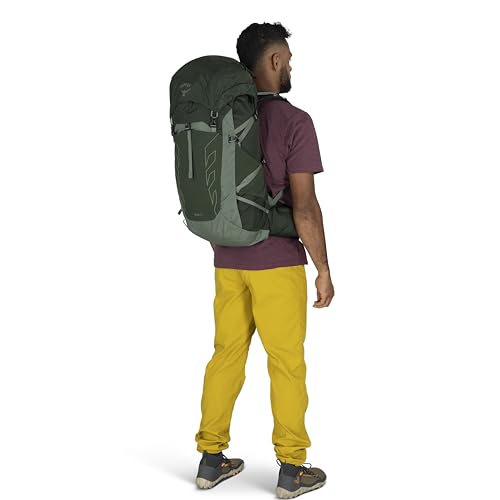 Osprey Talon 33L Men's Lightweight Hiking Backpack - Daypack for Travel & Camping, Green Canopy/Pine Leaf - color: Green Canopy/Pine Leaf, size: 33L - Standard Fit
