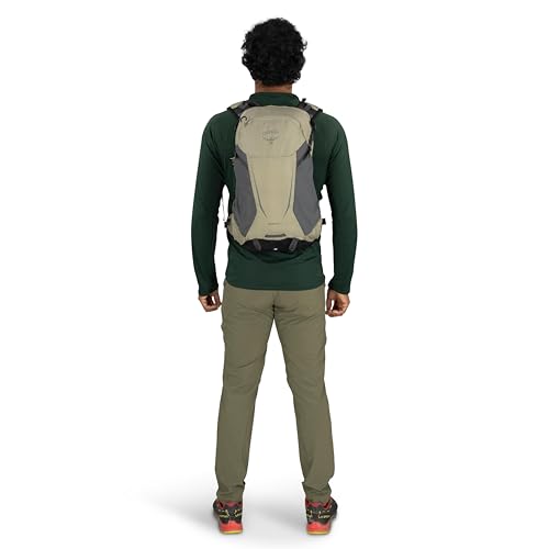 Osprey Hikelite 18L Durable Hiking Backpack - Travel Daypack with Rain Cover for Men and Women, Graphite Purple - color: Graphite Purple, style: 18l