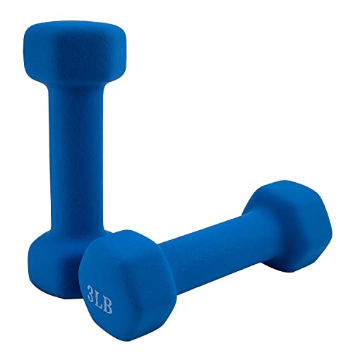 Saorzon Dumbbells Set of 2 Exercise Fitness Dumbbell for Home Gym Free Weights Hand Hex Dumb Bells - color: Royal Blue, style: 3 Pounds,Pair