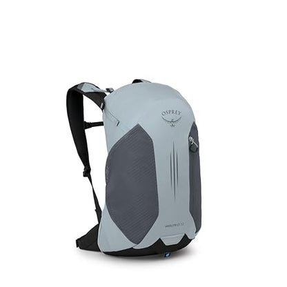 Osprey Hikelite LT 22L Hiking Backpack - Lightweight Travel Daypack with Rain Cover for Men and Women, Silver Lining - color: Silver Lining, style: 22l
