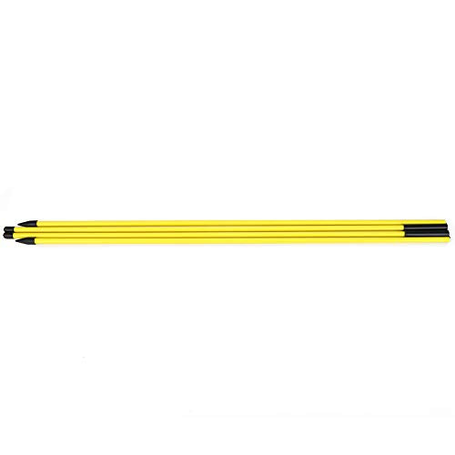 RiToEasysports Swing Trainer Epoxy Fiberglass Direction Indicator Stick 48.23in Foldable Practice Stick for Putting Swing Alignment Training for Beginners and Coaches