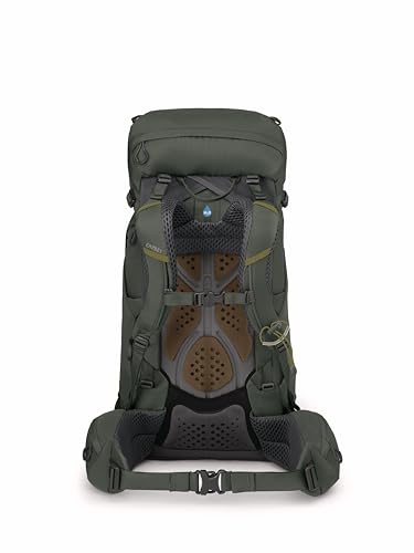 Osprey Kestrel 38L Men's Backpacking Backpack, Bonsai Green, L/XL - color: Bonsai Green, size: Large-X-Large