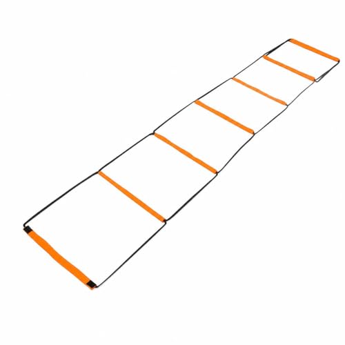 Qianly Kids Agility Ladder, Speed Ladder Training for Football & Soccer, 15ft Agility Speed Ladder with Storage Bag, Team Conditioning Equipment, Flitting Agility Ladder 8 Grid - style: Flitting Agility Ladder 8 Grid