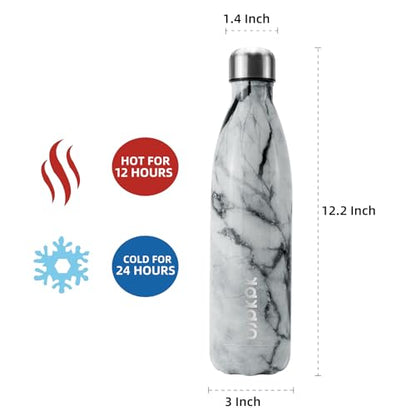 BJPKPK 25 oz Small Insulated Water Bottle, Stainless Steel, Leak Proof - color: Frozen, size: 25 Ounces