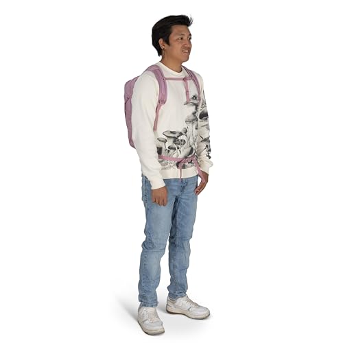 Osprey Daylite Commuter Backpack - Lightweight Everyday Bag with Laptop Sleeve, Bottle Pockets, Iris Pink - color: Iris Pink