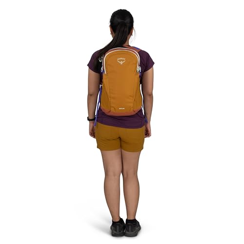 Osprey Daylite Commuter Backpack - Lightweight Everyday Bag with Laptop Sleeve, Bottle Pockets, Barley Brown/Multi - color: Barley Brown Multi