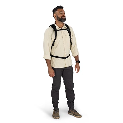 Osprey Hikelite LT 22L Hiking Backpack - Lightweight Travel Daypack with Rain Cover for Men and Women, Silver Lining - color: Silver Lining, style: 22l
