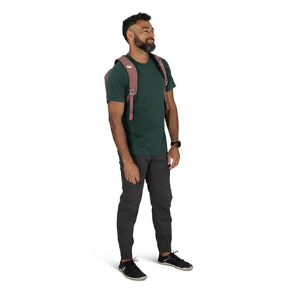 Osprey Arcane Small Day Commuter Backpack - Lightweight Everyday Bag with Laptop Sleeve, Nirvana Blue Heather - color: Nirvana Blue Heather