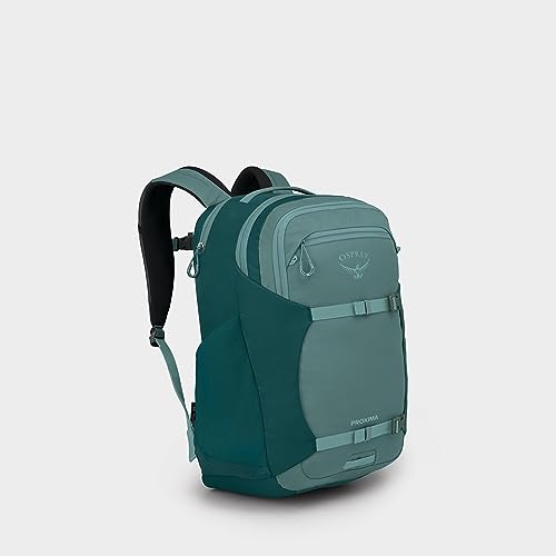 Osprey Proxima Laptop Backpack, Succulent Green/Deep Teal - color: Succulent Green/Deep Teal