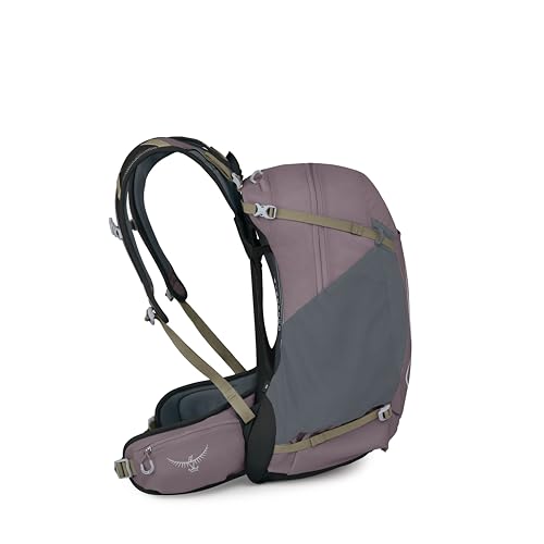 Osprey Hikelite 28L Durable Hiking Backpack - Travel Daypack with Rain Cover for Men and Women, Graphite Purple - color: Graphite Purple, style: 28l