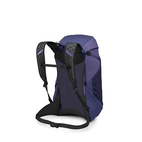 Osprey Hikelite LT 30L Hiking Backpack - Lightweight Travel Daypack with Rain Cover for Men and Women, Botswana Purple - color: Botswana Purple, style: 30l