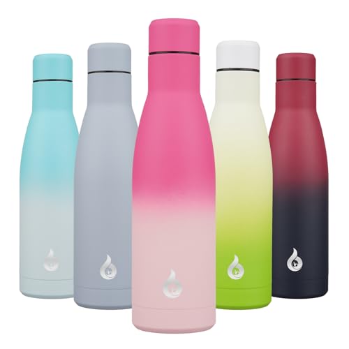 BJPKPK 17 oz Insulated Thermal Metal Water Bottle, Stainless Steel Flask - color: Cherry, size: 17 Ounces