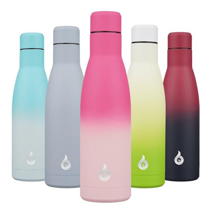BJPKPK 17 oz Insulated Thermal Metal Water Bottle, Stainless Steel Flask - color: Cherry, size: 17 Ounces