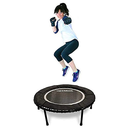 LEAPS & REBOUNDS 48" Adjustable Stability Bar Attachment with 48" Mini Fitness Trampoline and Home Gym Rebounder for Cardio Exercises, Gray