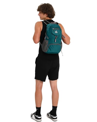 WATERFLY Small Lightweight Packable Backpack: 20l Ultra Light Foldable Travel Hiking Camping Daypack Day Pack for Man Woman - color: Gray