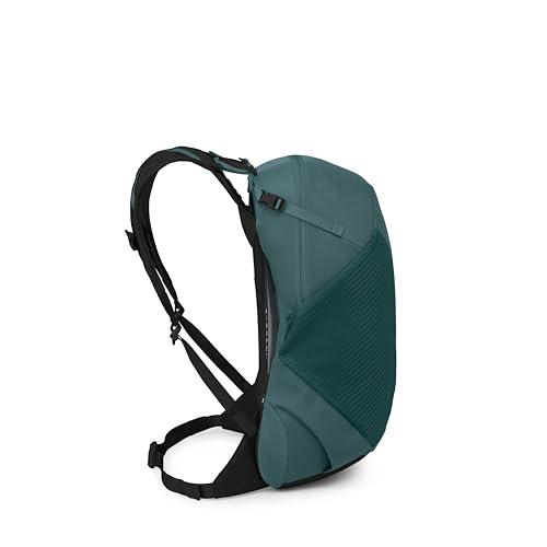 Osprey Hikelite LT 22L Hiking Backpack - Lightweight Travel Daypack with Rain Cover for Men and Women, Cascade Blue - color: Cascade Blue, style: 22l
