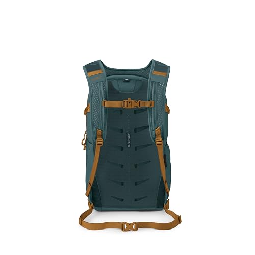 Osprey Daylite Plus Commuter Backpack - Everyday Pack with Laptop Sleeve, Bottle Pockets, and Extra Storage, Torrent Blue - color: Torrent Blue