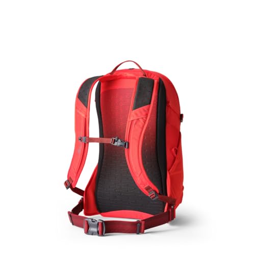 Gregory Kiro 24L Day Hiking Backpack, Cloud Control Hipbelt, Built-In Hydration Attachment and Sleeve (Reservoir Not Included), One Size Fits All, Lava Red - color: Red, style: 24l