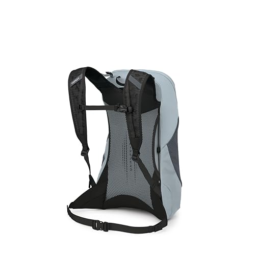 Osprey Hikelite LT 16L Hiking Backpack - Lightweight Travel Daypack with Rain Cover for Men and Women, Silver Lining - color: Silver Lining, style: 16l