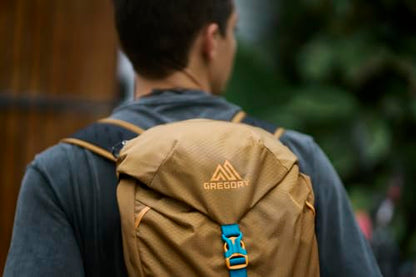 Gregory Nano 16L Day Hiking/Commuter Backpack, One Size, Terrain Green - color: Terrain Green, size: One Size