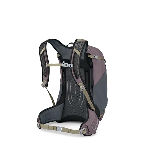 Osprey Hikelite 28L Durable Hiking Backpack - Travel Daypack with Rain Cover for Men and Women, Graphite Purple - color: Graphite Purple, style: 28l
