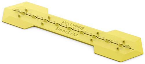 Bee Gym/Slim Gym Combo (1)