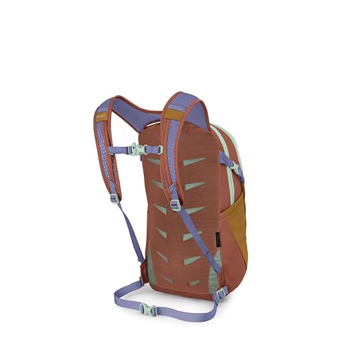 Osprey Daylite Commuter Backpack - Lightweight Everyday Bag with Laptop Sleeve, Bottle Pockets, Barley Brown/Multi - color: Barley Brown Multi