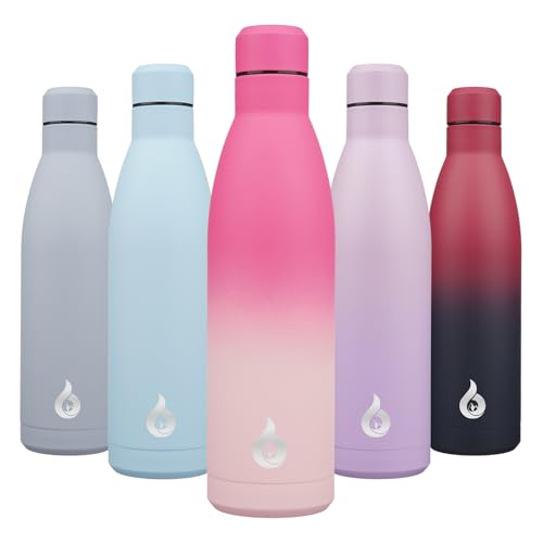 BJPKPK 25 oz Insulated Stainless Steel Water Bottle, Metal Sports Flask - color: Cherry, size: 25 Ounces