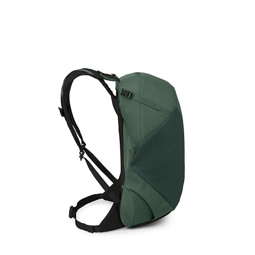 Osprey Hikelite LT 22L Hiking Backpack - Lightweight Travel Daypack with Rain Cover for Men and Women, Tundra Green - color: Tundra Green, style: 22l