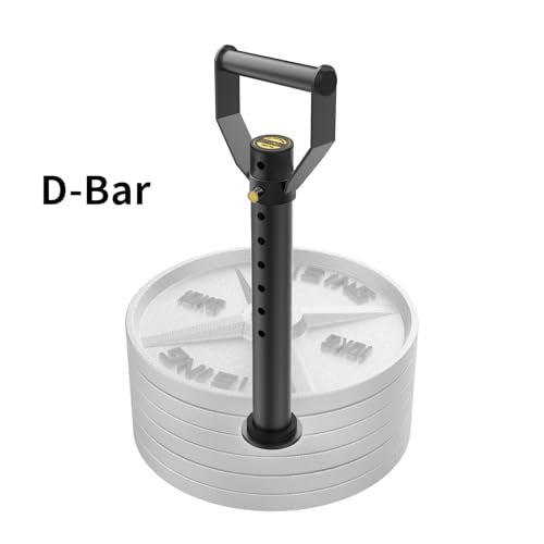 Adjustable kettlebell Handle, Heavy Duty Kettlebell Handle for Plates, Loading Pin with D-bar, Double D-bar and T-bar for Olympic Weight Plates, Hold Up 200lbs. - color: Extra D-bar
