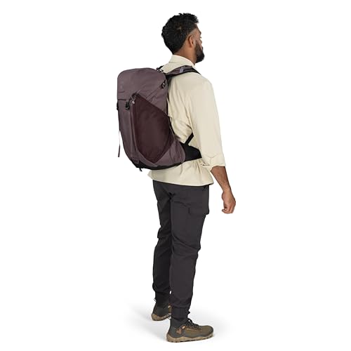 Osprey Hikelite LT 30L Hiking Backpack - Lightweight Travel Daypack with Rain Cover for Men and Women, Graphite Purple - color: Graphite Purple, style: 30l