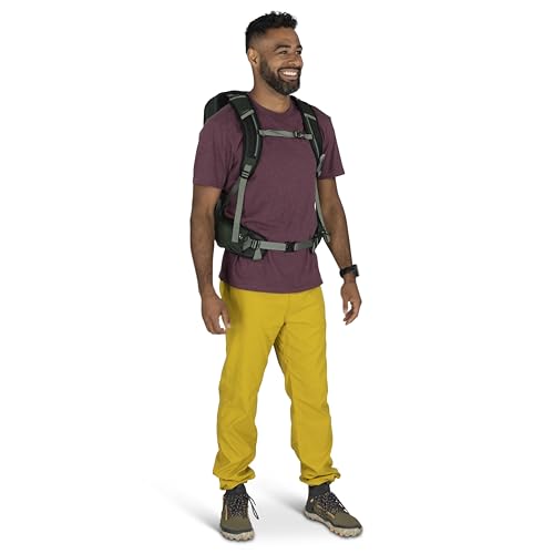 Osprey Talon 22L Men's Lightweight Hiking Backpack - Small Daypack for Travel & Camping, Green Canopy/Pine Leaf - color: Green Canopy/Pine Leaf, size: 22L - Standard Fit