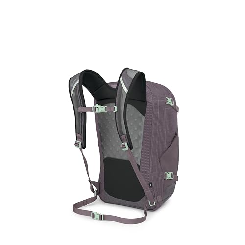 Osprey Nebula Commuter Backpack - Everyday Bag with Laptop Sleeve and Bottle Pockets, Graphite Purple Heather - color: Graphite-purple Heather