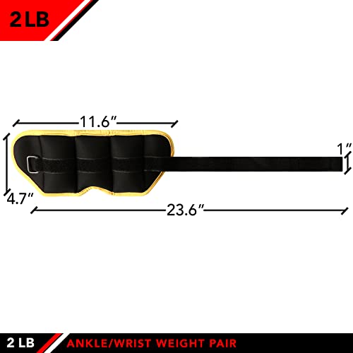 JFIT Ankle Weights - Ankle Weight Pair 10 Weight and Bundle Options - 0.5 to 8 lbs. Each (Set of 2) Adjustable Straps – Comfortable, Breathable, Moisture Absorbent Weight Straps for Men and Women - size: 2 lb Pair