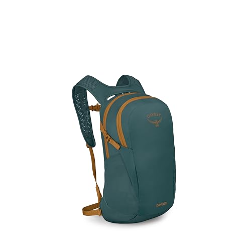 Osprey Daylite Commuter Backpack - Lightweight Everyday Bag with Laptop Sleeve, Bottle Pockets, Torrent Blue - color: Torrent Blue