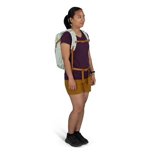 Osprey Daylite Commuter Backpack - Lightweight Everyday Bag with Laptop Sleeve, Bottle Pockets, Shaleafy Print/Frosty Mint - color: Shaleafy Print Frosty Mint