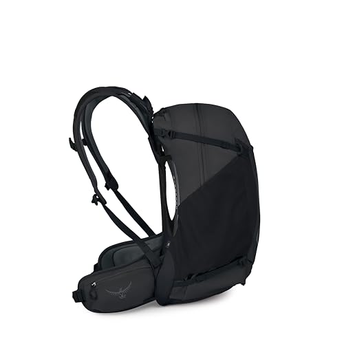Osprey Hikelite 28L Durable Hiking Backpack - Travel Daypack with Rain Cover for Men and Women, Raven Black - color: Raven Black, style: 28l