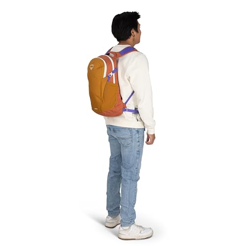 Osprey Daylite Commuter Backpack - Lightweight Everyday Bag with Laptop Sleeve, Bottle Pockets, Torrent Blue - color: Torrent Blue