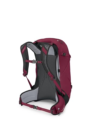Osprey Hikelite 28L Lightweight Hiking Backpack - Durable Travel Daypack with Rain Cover for Men and Women, Chameleon/Black, M/L - color: Chameleon/Black, size: Medium-Large