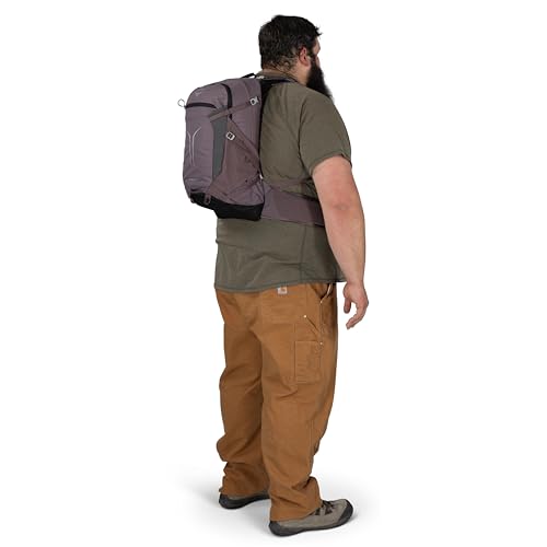 Osprey Sportlite 25L Lightweight Hiking Backpack for Men and Women - Everyday Hiking Bag - Travel Daypack, Extended Fit - color: Graphite Purple, style: 25l - Extended Fit