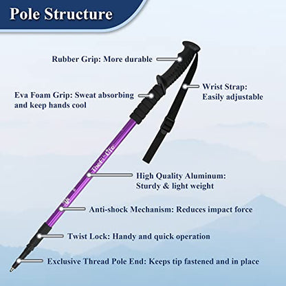 TheFitLife Nordic Walking Trekking Poles - 2 Sticks with Anti-Shock and Quick Lock System, Telescopic, Collapsible, Ultralight for Hiking, Camping, Mountaining, Backpacking, Walking, Trekking - color: Purple