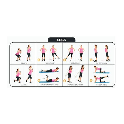 Bodylastics Patented Basic Series Resistance Band Set - Resistance Bands with Snap Reduction Tech, 2 Handles, 2 Ankle Straps, 1 Door Anchor & 1 Carry Bag - color: Workout Guide Poster