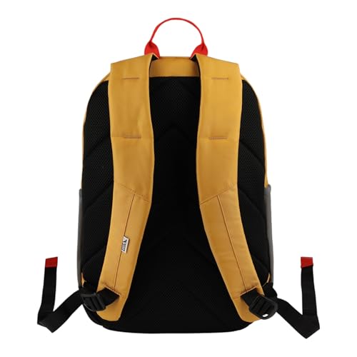 Eddie Bauer University Backpack 22L | Everyday Carry | Work | Travel | Commuter | Padded Laptop Sleeve | Stretch Bottle Pockets | Lightweight | Durable - Field Gold - color: University - Field Gold, size: 22L